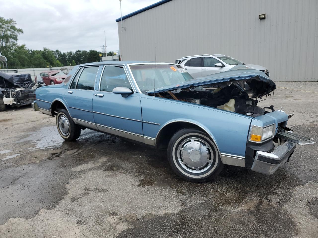 Lot #3240247024 1989 CHEVROLET CAPRICE CL