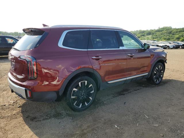 2024 KIA TELLURIDE 5XYP5DGC7RG520176