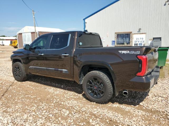 2024 TOYOTA TUNDRA CRE - 5TFMA5DB5RX171788