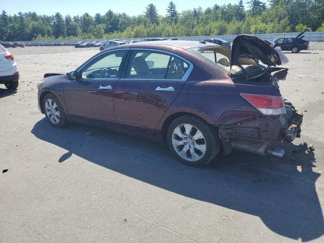 2010 HONDA ACCORD EXL - 5KBCP3F86AB017011