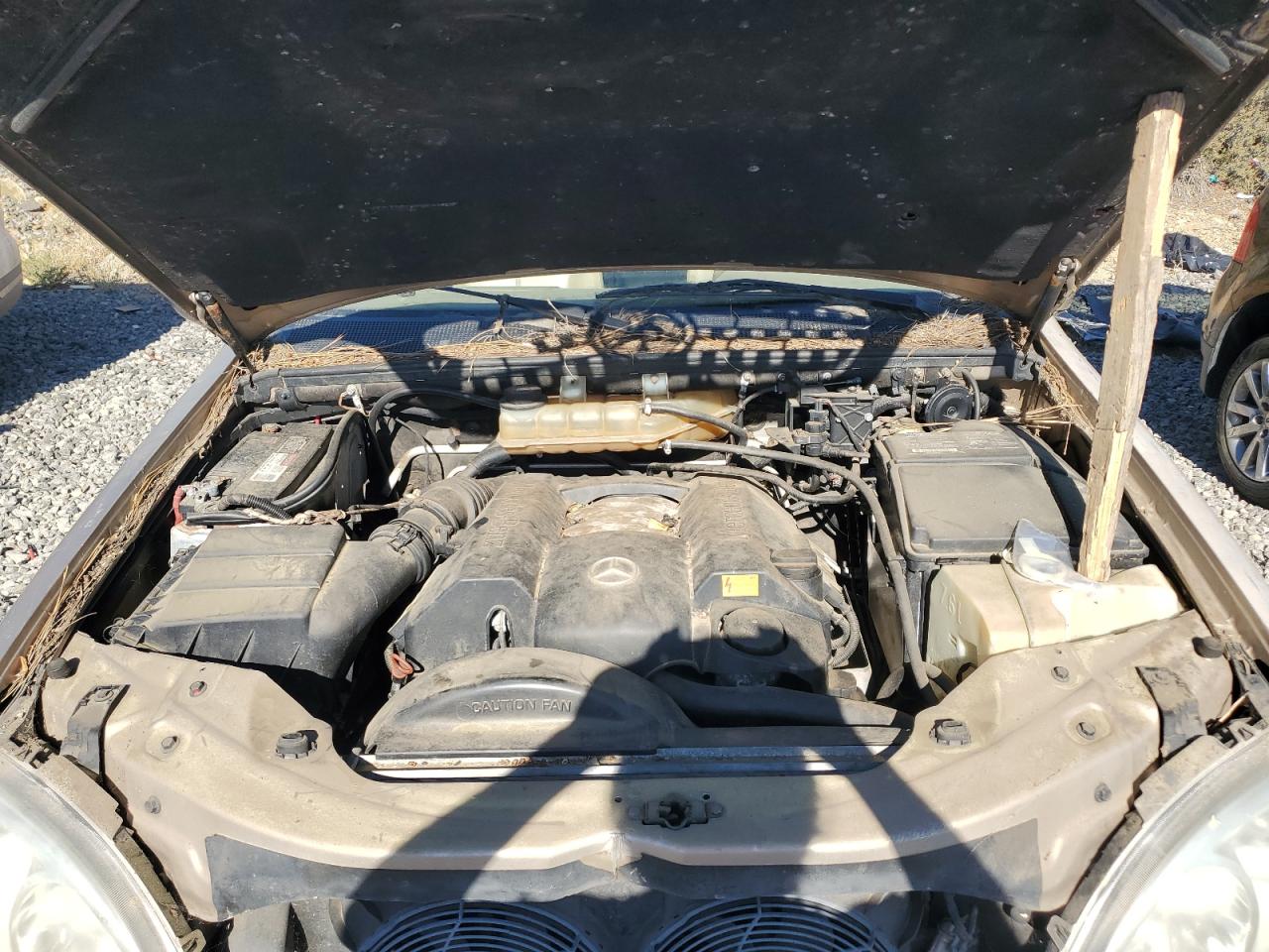 Lot #3280823378 2001 MERCEDES-BENZ M-CLASS