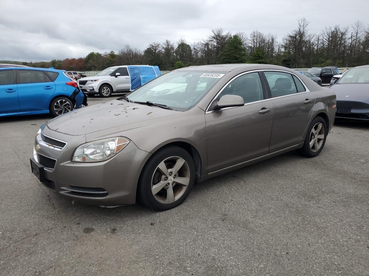 CHEVROLET MALIBU 1LT