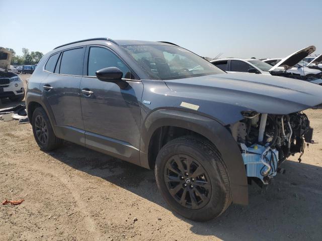 2025 MAZDA CX-50 PREM 7MMVAADW1SN114392