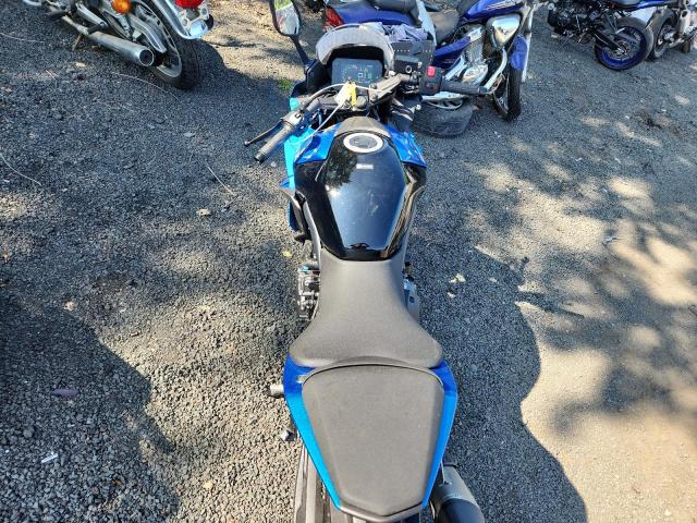 2024 SUZUKI GSX800 F JS1EM13B5R7101322