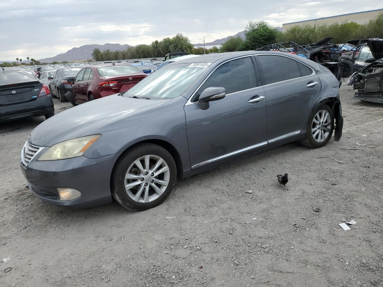 LEXUS ES 350