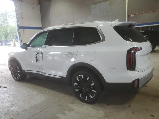2023 KIA TELLURIDE 5XYP54GCXPG362302