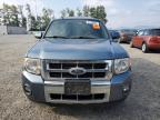 Lot #3304059511 2011 FORD ESCAPE LIM