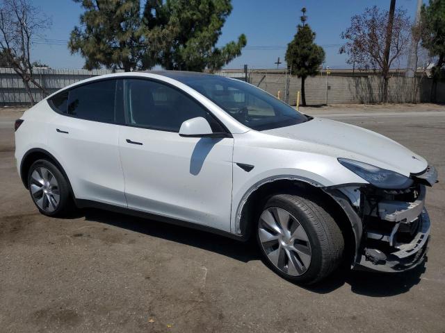 2023 TESLA MODEL Y 7SAYGDEE6PA103591