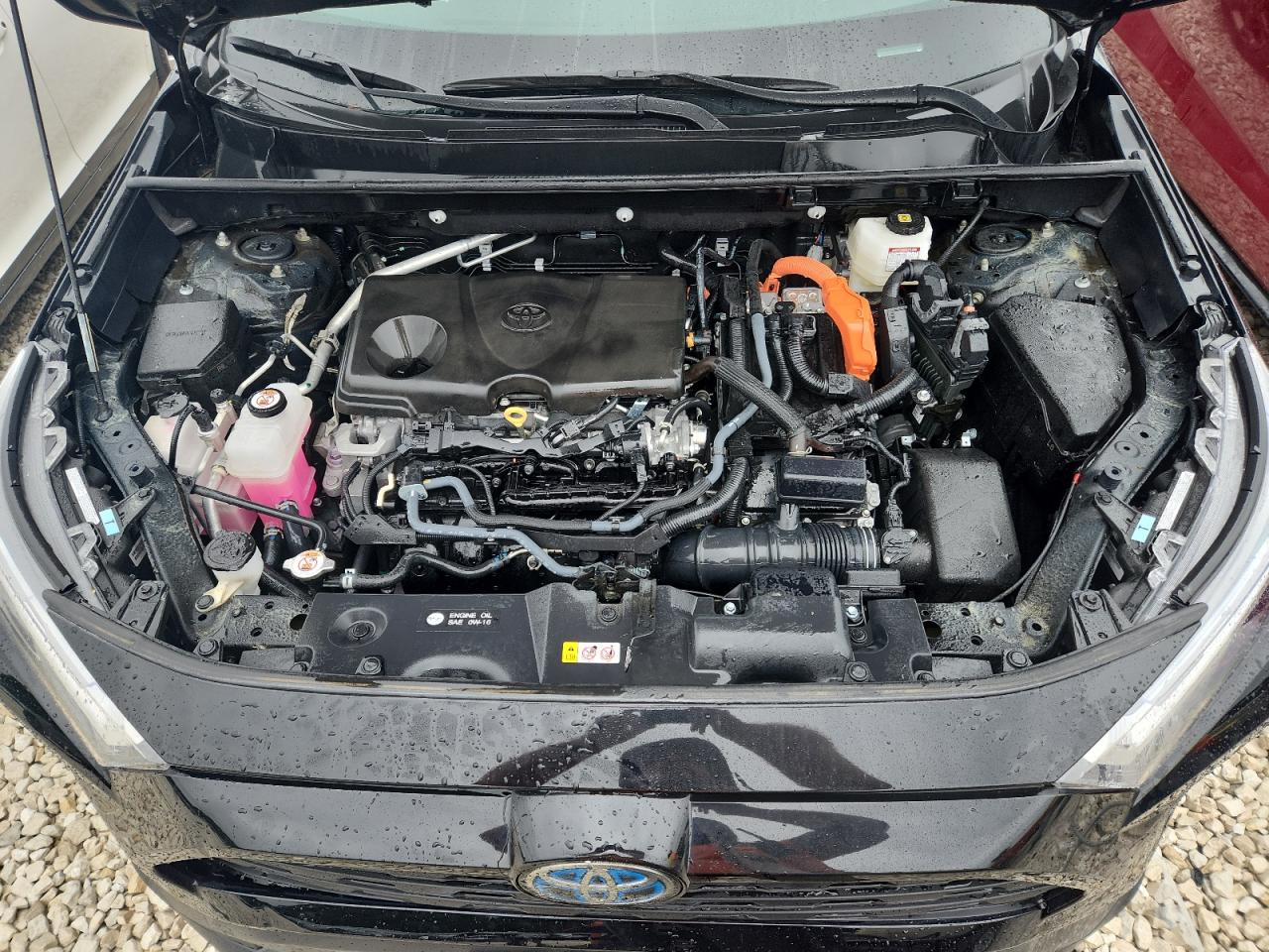 TOYOTA RAV4 WOODLAND EDITION