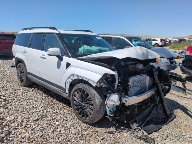 2025 HYUNDAI SANTA FE L 5NMP3DG11SH050789