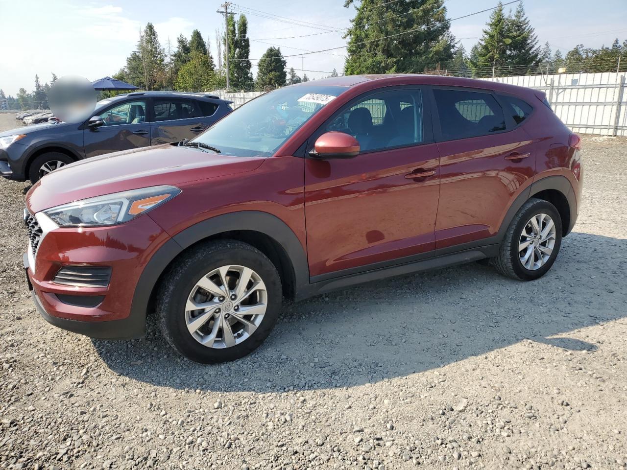 Lot #3261206950 2019 HYUNDAI TUCSON SE