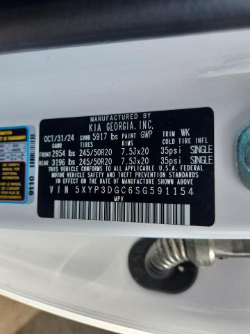 2025 KIA TELLURIDE EX 5XYP3DGC6SG591154
