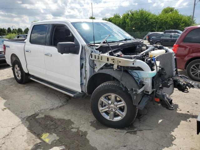 2024 FORD F150 XLT 1FTFW3L83RKE49766