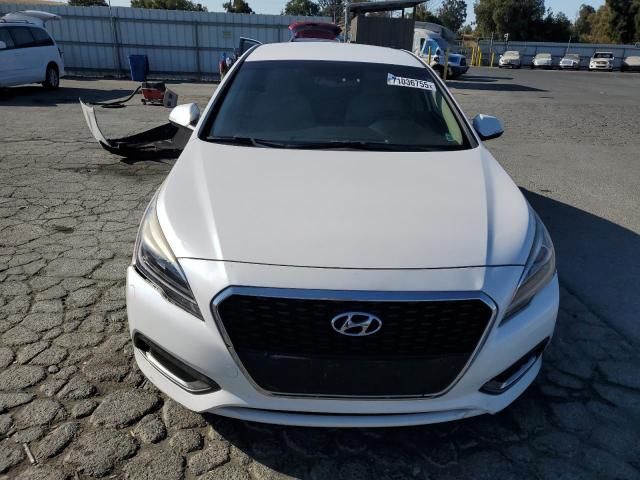 2016 HYUNDAI SONATA HYB - KMHE24L10GA011818