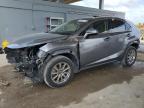 2020 LEXUS NX 300 - JTJDARBZ1L2176317