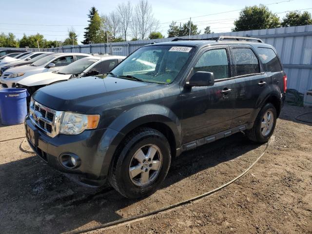 FORD ESCAPE XLT
