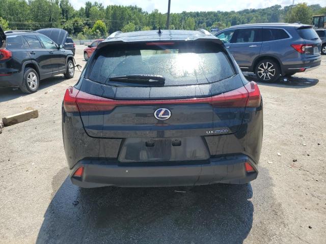 2019 LEXUS UX 250H JTHU9JBH7K2013043
