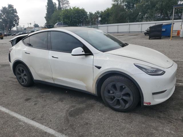 2020 TESLA MODEL Y 5YJYGDEE4LF036970