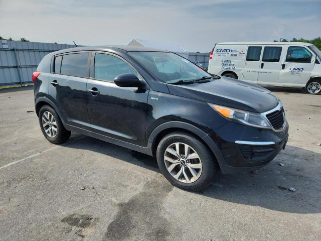 2016 KIA SPORTAGE LX KNDPBCAC8G7844324