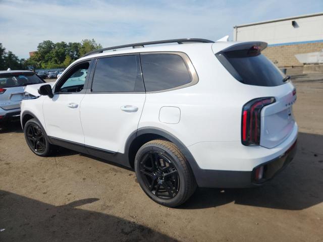 2025 KIA TELLURIDE EX 5XYP3DGC6SG591154