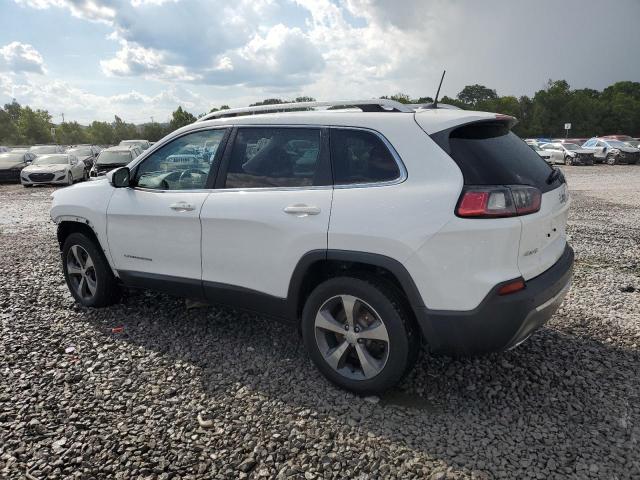2019 JEEP CHEROKEE L 1C4PJMDX8KD352412