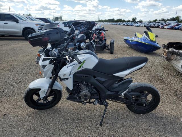 2020 KAWASAKI BR125 J JKABRRJ12LDA16298