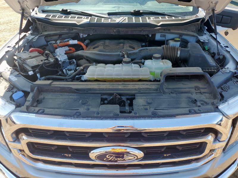 2023 FORD F150 SUPER - 1FTFW1ED6PFD28167