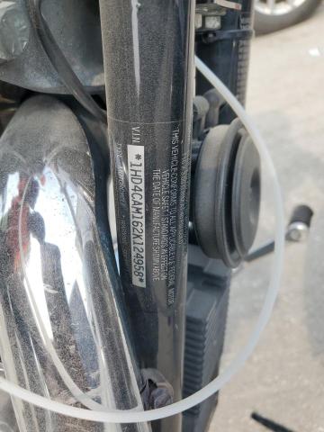 2002 HARLEY-DAVIDSON XL883 1HD4CAM162K124958