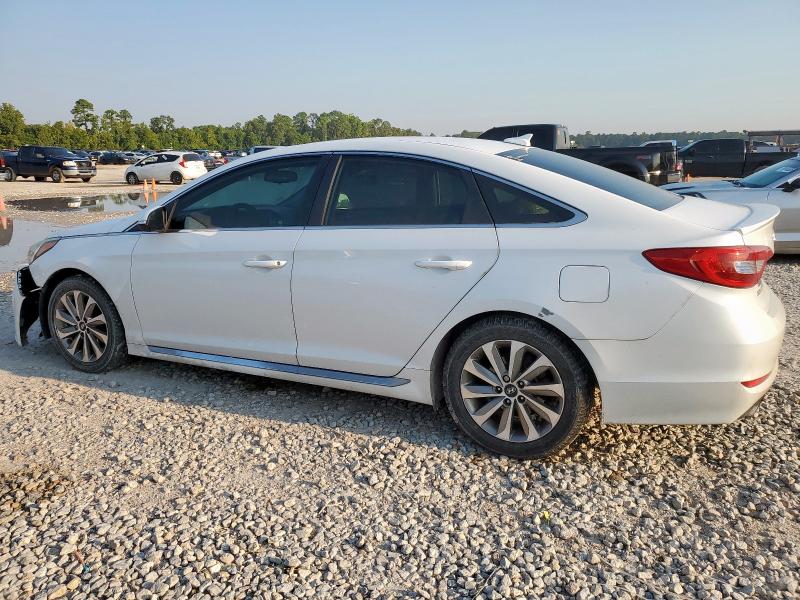 2016 HYUNDAI SONATA SPO - 5NPE34AF8GH331137