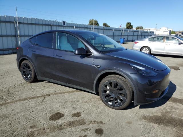 2024 TESLA MODEL Y 7SAYGAEE1RF165484