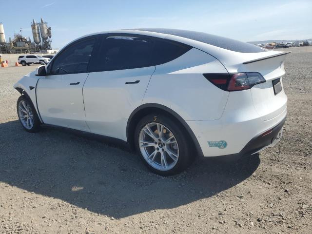 2020 TESLA MODEL Y 5YJYGDEE0LF015663