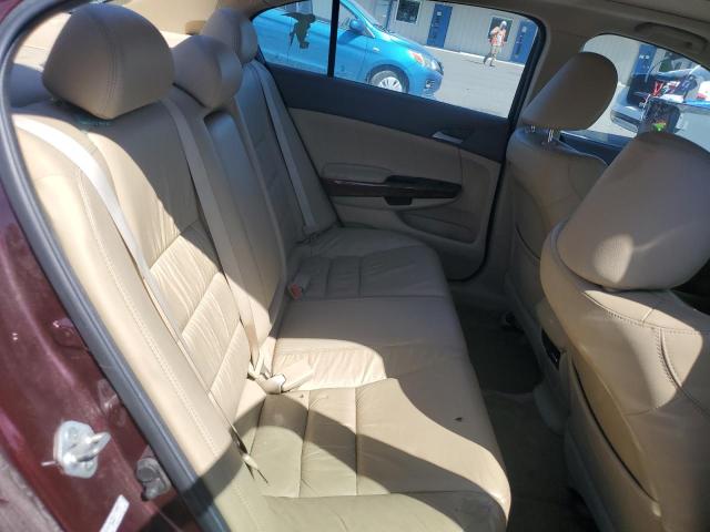 2010 HONDA ACCORD EXL - 5KBCP3F86AB017011