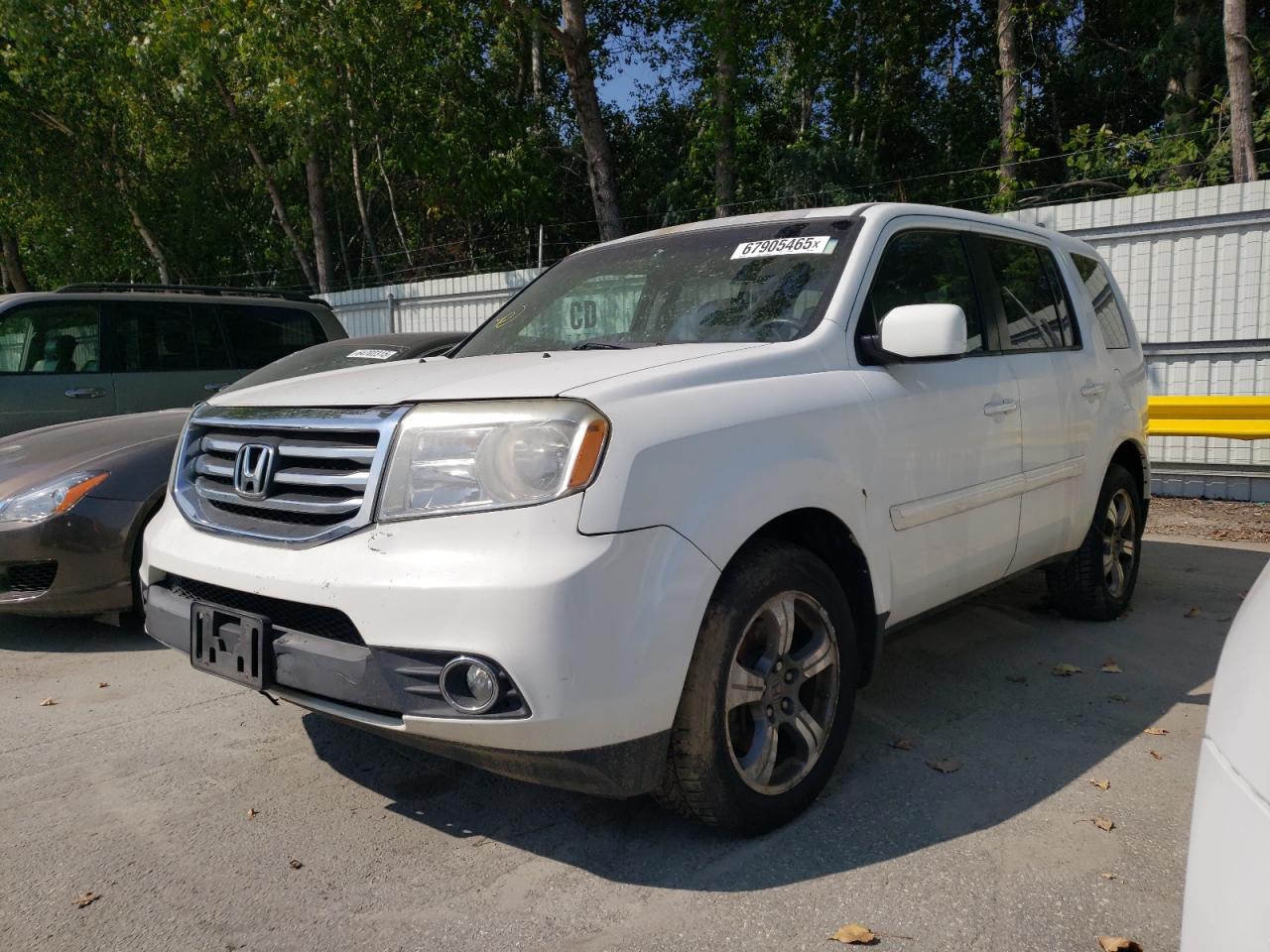 HONDA PILOT SE