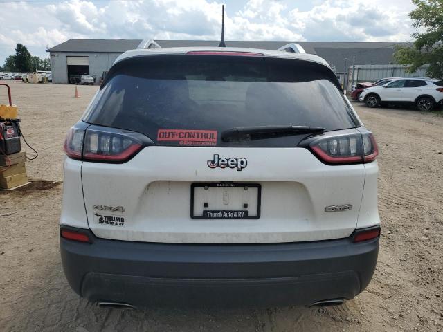 2019 JEEP CHEROKEE L 1C4PJMCX5KD250387
