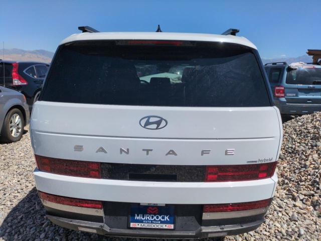 2025 HYUNDAI SANTA FE L 5NMP3DG11SH050789
