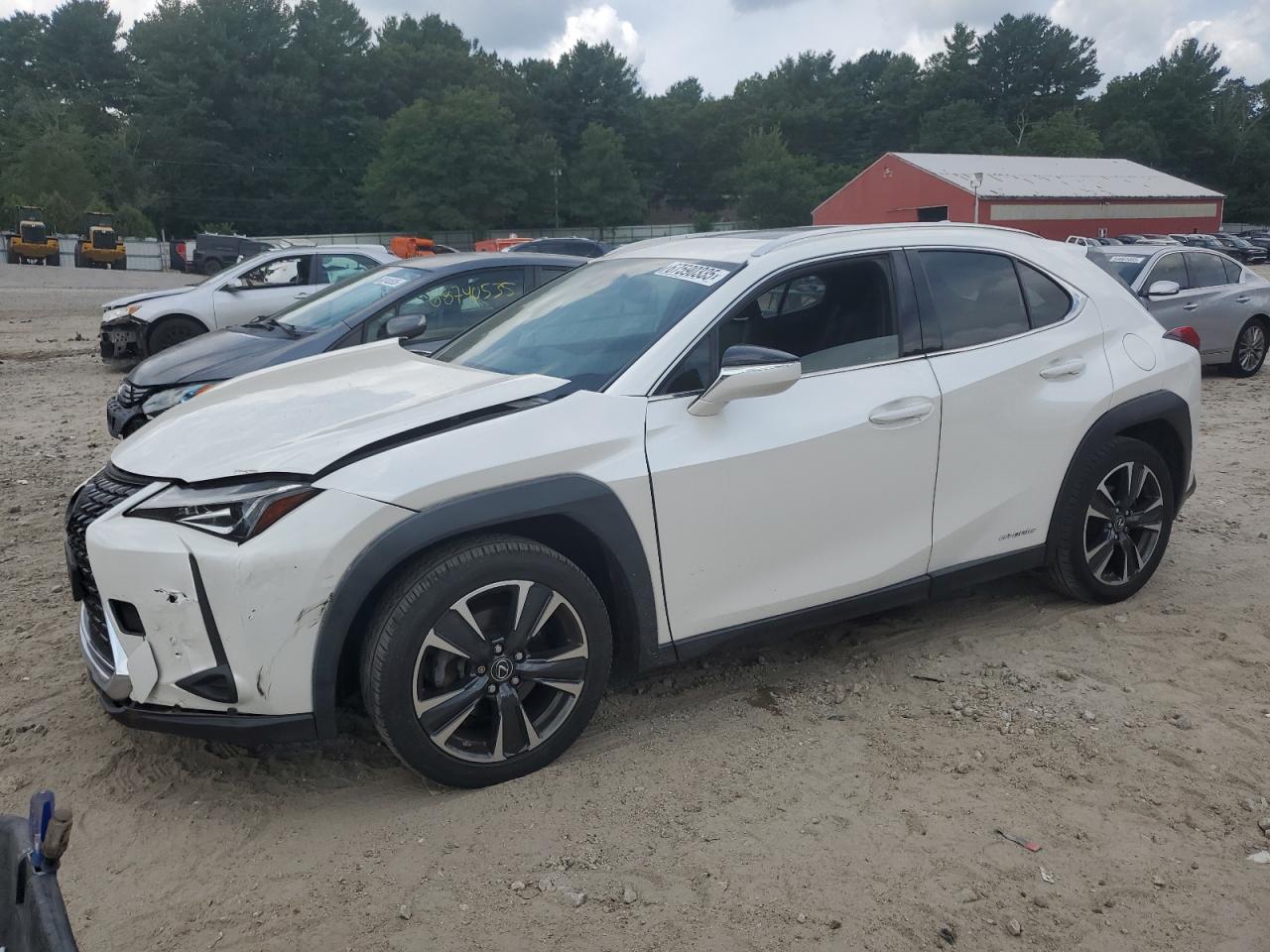 LEXUS UX 250H