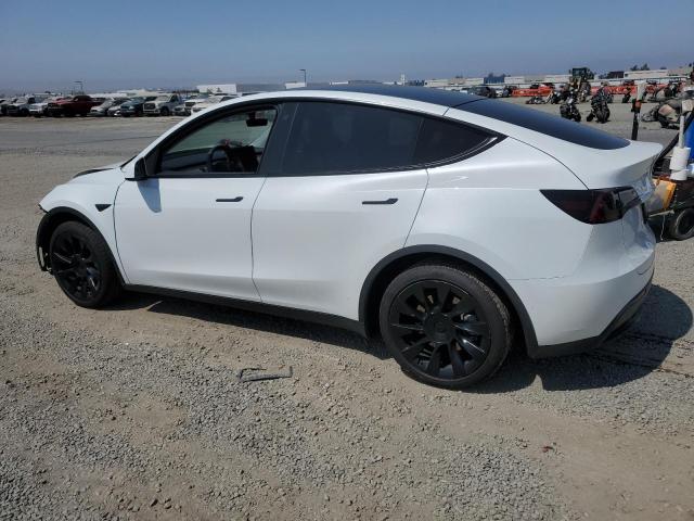2020 TESLA MODEL Y 5YJYGDEE3LF042954