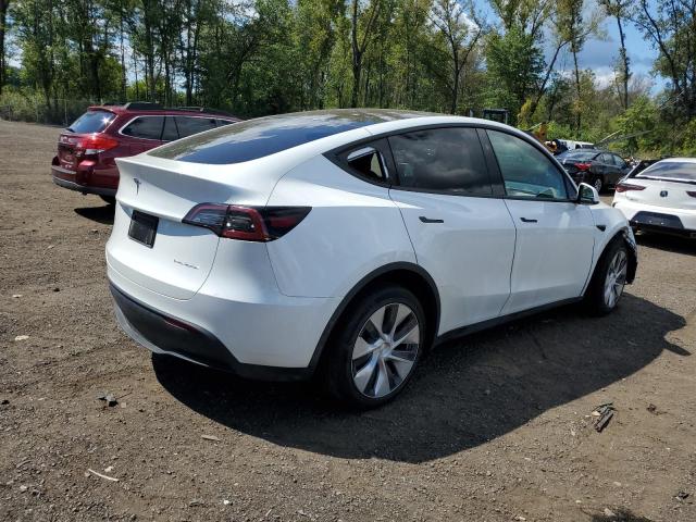 2023 TESLA MODEL Y 7SAYGDEE4PF804715