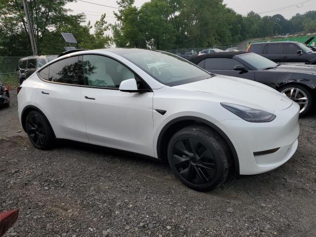 2025 TESLA MODEL Y 7SAYGDED8SF266777