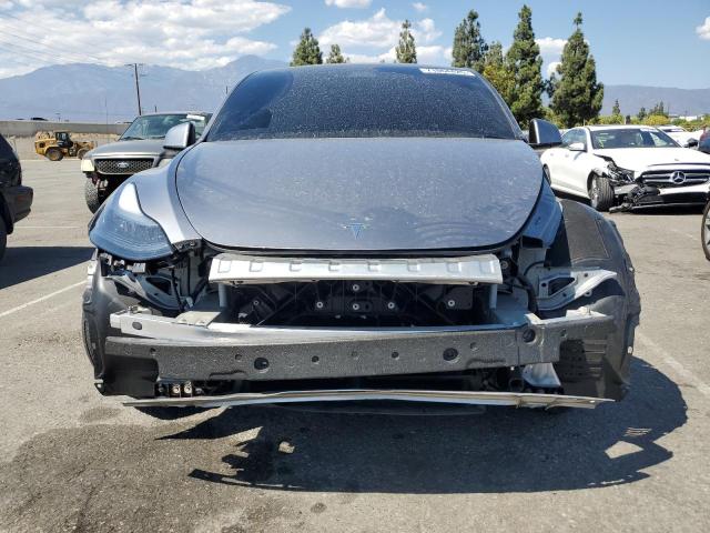 2025 TESLA MODEL Y 7SAYGDEF3SF312341