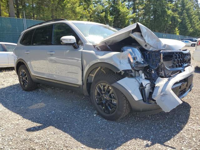 2025 KIA TELLURIDE SX 5XYP5DGC2SG647004