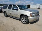 Lot #3303720426 2013 CHEVROLET SUBURBAN K