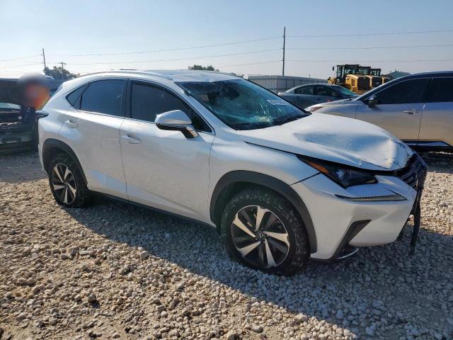 2018 LEXUS NX 300 BAS JTJBARBZ9J2152402