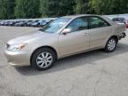 Top Destinations for Shipping Cars from the USA