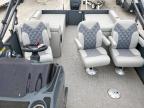Lot #3317762092 2024 MASSIMO MARINE P-24 LOUNGE