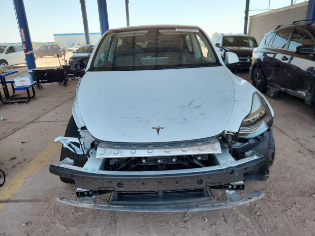2023 TESLA MODEL Y 7SAYGDEE0PA050659