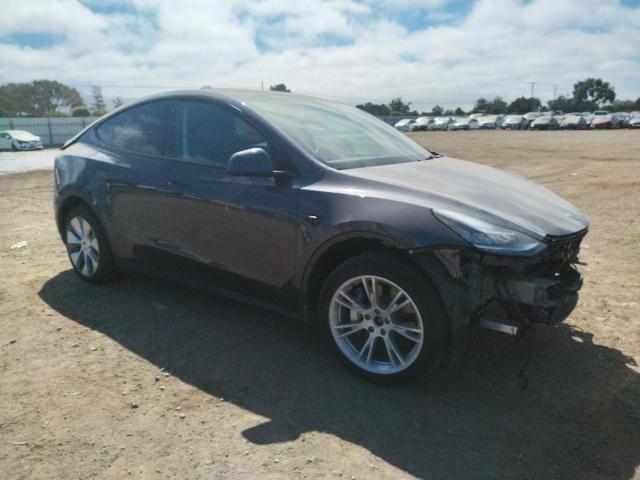 2023 TESLA MODEL Y 7SAYGDEE5PF601686