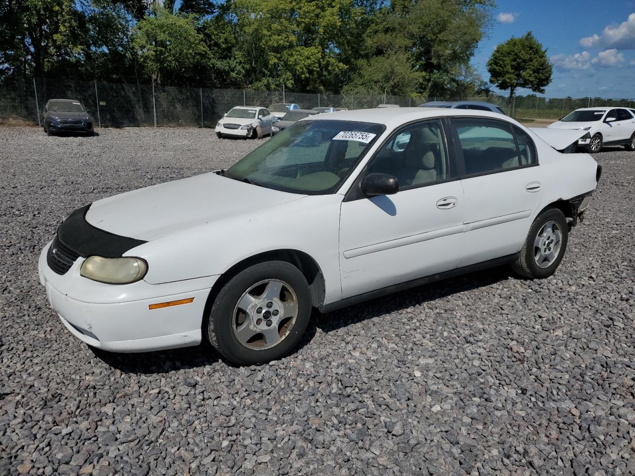 Lot #3227613624 2004 CHEVROLET CLASSIC
