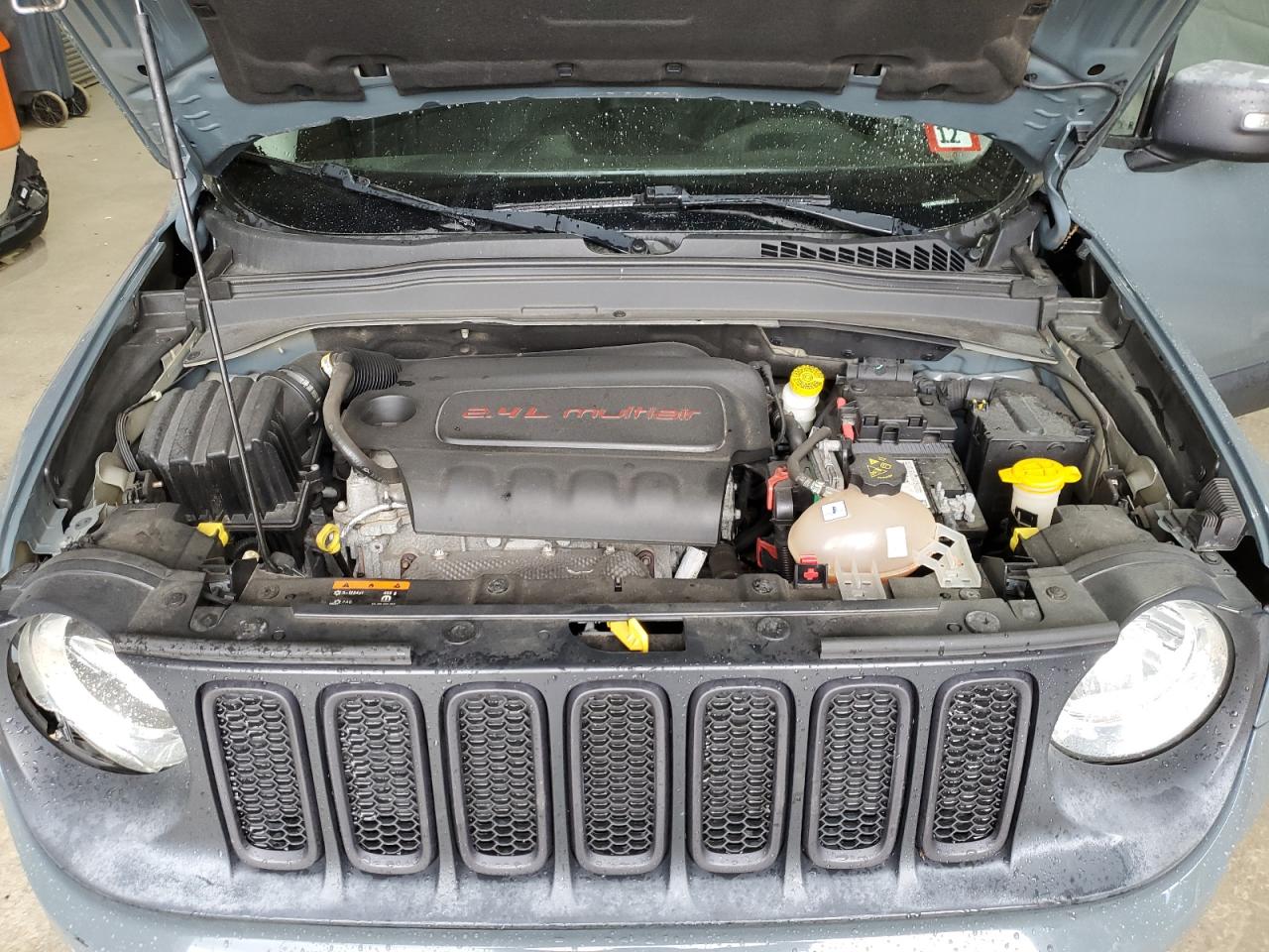 JEEP RENEGADE TRAILHAWK