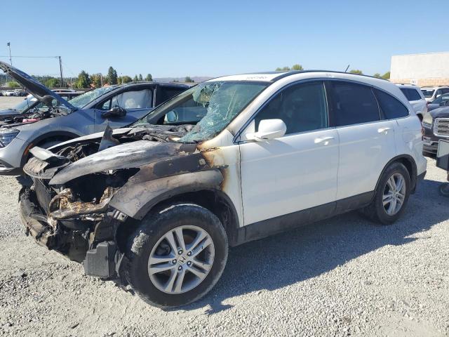2010 HONDA CR-V EXL - 5J6RE3H76AL005161